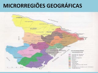 MICRORREGIÕES GEOGRÁFICAS
 