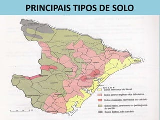 PRINCIPAIS TIPOS DE SOLO
 