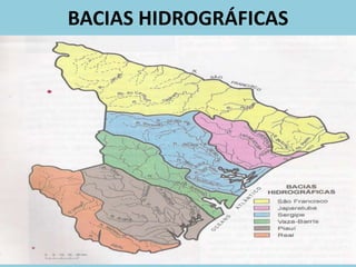 BACIAS HIDROGRÁFICAS
 