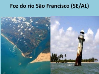 Foz do rio São Francisco (SE/AL)
 