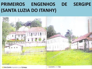 PRIMEIROS ENGENHOS DE SERGIPE
(SANTA LUZIA DO ITANHY)
 