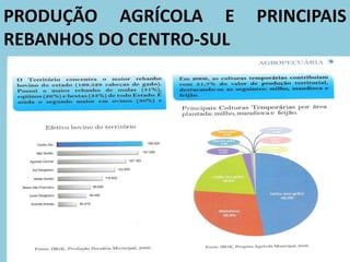PRODUÇÃO AGRÍCOLA E PRINCIPAIS
REBANHOS DO CENTRO-SUL
 