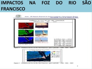 IMPACTOS NA FOZ DO RIO SÃO
FRANCISCO
 