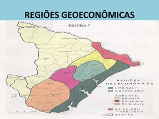 REGIÕES GEOECONÔMICAS
 