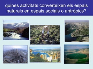 quines activitats converteixen els espais
naturals en espais socials o antròpics?
 