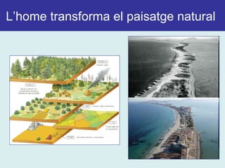 L’home transforma el paisatge natural
 
