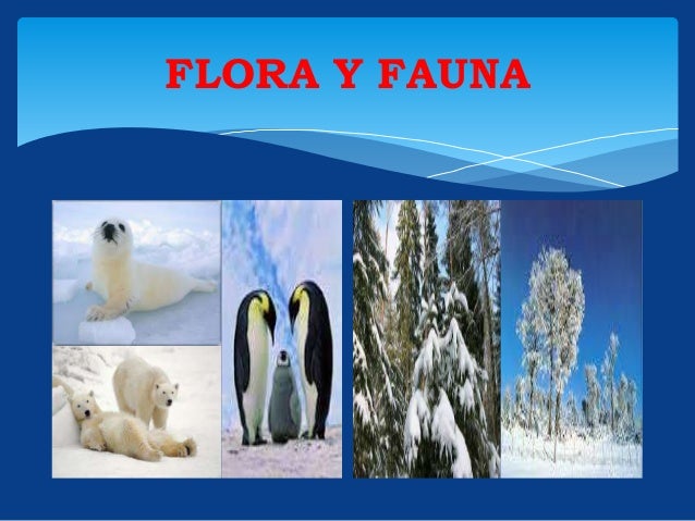 Geografia diapositiva tipos de clima