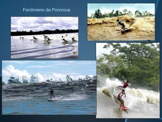 Fenômeno da Pororoca
 