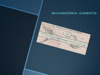 BACIA AMAZÔNICA - ELEMENTOS
 