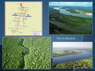 Ilha do Bananal
 