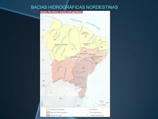 BACIAS HIDROGRÁFICAS NORDESTINAS
 