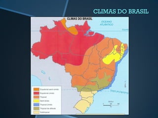 CLIMAS DO BRASIL
 