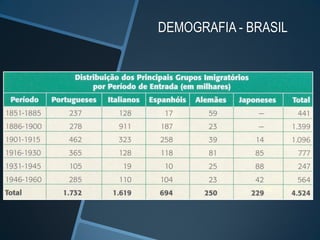 DEMOGRAFIA - BRASIL
 