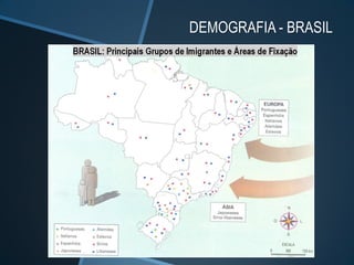 DEMOGRAFIA - BRASIL
 