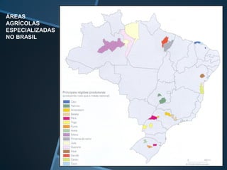 ÁREAS
AGRÍCOLAS
ESPECIALIZADAS
NO BRASIL
 