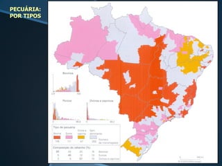 PECUÁRIA:
POR TIPOS
 