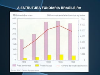 A ESTRUTURA FUNDIÁRIA BRASILEIRA
 