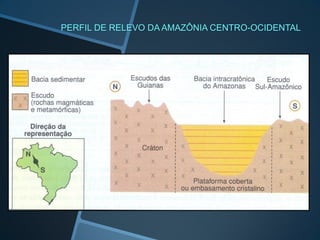 PERFIL DE RELEVO DA AMAZÔNIA CENTRO-OCIDENTAL
 