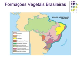 Formações Vegetais Brasileiras
 