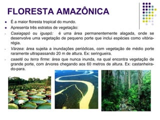FLORESTA AMAZÔNICA
 É a maior floresta tropical do mundo.
 Apresenta três estratos de vegetação:
- Caaiagapó ou iguapó: é uma área permanentemente alagada, onde se
desenvolve uma vegetação de pequeno porte que inclui espécies como vitória-
régia.
- Várzea: área sujeita a inundações periódicas, com vegetação de médio porte
raramente ultrapassando 20 m de altura. Ex: seringueira.
- caaetê ou terra firme: área que nunca inunda, na qual encontra vegetação de
grande porte, com árvores chegando aos 60 metros de altura. Ex: castanheira-
do-para.
 