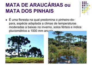 MATA DE ARAUCÁRIAS ou
MATA DOS PINHAIS
 É uma floresta na qual predomina o pinheiro-do-
para, espécie adaptada a climas de temperaturas
moderadas a baixas no inverno, solos férteis e índice
pluviométrico a 1000 mm anuais.
 