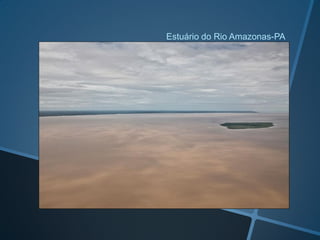 Estuário do Rio Amazonas-PA
 