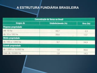 A ESTRUTURA FUNDIÁRIA BRASILEIRA
 