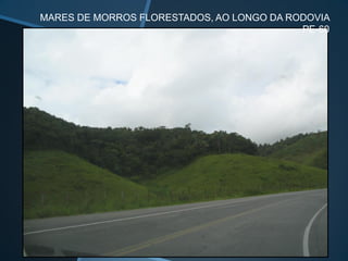 MARES DE MORROS FLORESTADOS, AO LONGO DA RODOVIA
PE-60
 