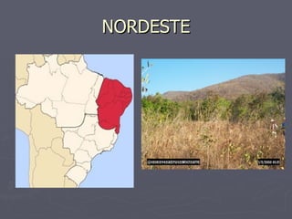 NORDESTE 