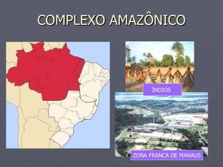 COMPLEXO AMAZÔNICO ZONA FRANCA DE MANAUS ÍNDIOS  