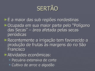 SERTÃO É a maior das sub regiões nordestinas Ocupada em sua maior parte pelo “Polígono das Secas” – área afetada pelas secas periódicas Recentemente a irrigação tem favorecido a produção de frutas às margens do rio São Francisco Atividades econômicas: Pecuária extensiva de corte Cultivo de arroz e algodão 