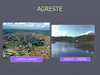 AGRESTE AGRESTE - PARAÍBA CAMPINA GRANDE 