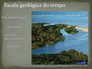 Escala geológica do tempo Cenozóico Quaternário (aluvião,  fluvio-marinhas) sedimentar 