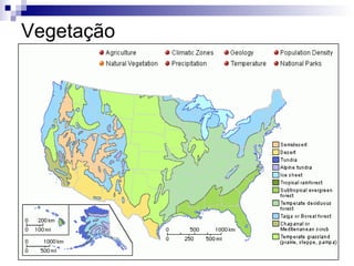 Vegetação 