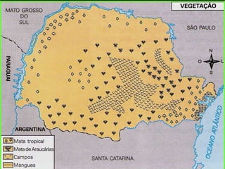 CLIMA
VEGETAÇÃO
 Tropical de altitude / Subtropical úmido com verões
quentes (Cfa)
 Subtropical úmido com verões brandos (Cfb)
 Mangues
 Cerrado
 Campos
 Araucárias
 