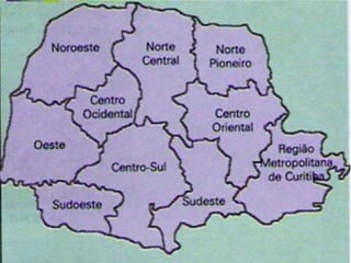ASPECTOS POPULACIONAIS
• 10,4 milhões de habitantes;
• Pop. urbana: 83,4%;
• Maiores cidades:
- Curitiba, Londrina, Maringá, Foz do Iguaçu,
Ponta Grossa, Guarapuava e Cascavel.
 