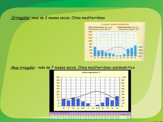 -Irregular  :mas de 2 meses secos. Clima mediterráneo -Muy irregular  : más de 7 meses secos. Clima mediterráneo subdesértico 
