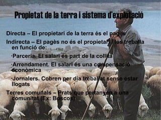 Propietat de la terra i sistema d’explotació
Directa – El propietari de la terra és el pagès
Indirecta – El pagès no és el propietari i les treballa
  en funció de:
 ·Parceria. El salari és part de la collita
 ·Arrendament. El salari és una compensació
 econòmica
 ·Jornalers. Cobren per dia treballat sense estar
 llogats
Terres comunals – Prats que pertanyen a una
  comunitat (Ex: Boscos)
 