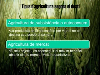 Tipus d’agricultura segons el destí
 
