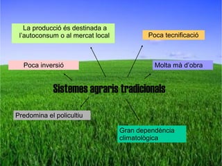 La producció és destinada a
 l’autoconsum o al mercat local           Poca tecnificació



  Poca inversió                             Molta mà d’obra


            Sistemes agraris tradicionals

Predomina el policultiu

                                  Gran dependència
                                  climatològica
 