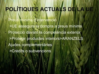 POLÍTIQUES ACTUALS DE LA UE
- Preus mínims d’intervenció
  >UE assegura la compra a preus mínims
- Protecció davant la competència exterior
  >Protegir productes interiors>ARANZELS
- Ajudes complementàries
  >Crèdits o subvencions
 