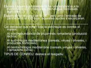 Encara i aquests problemes hi ha una tendència a la
  modernització (+ màquines, tecnologia, tècniques
  agrícoles…)
Espanya rep recusos de la UE, però amb l’entrada de
  països amb el PIB baix, aquestes ajudes s’escurçaran.
_______________________________________________
Cal destacar que no en tota la península es conrea el
  mateix:
- Al nord>abundància de pluja>més ramaderia (producció
  làctica)
- Al sud>trilogia mediterrànea (cereals, vinyes i oliveres, i
  productes hortícoles)
- Al centre>trilogia mediterràne (cereals, vinyes i oliveres,
  i ramaderia ovina)
TIPUS DE CONREU: destaca el reagadiu
 