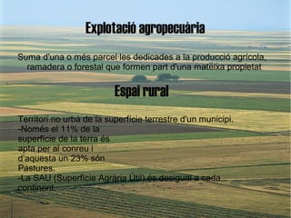 Explotació agropecuària
Suma d'una o més parcel·les dedicades a la producció agrícola,
  ramadera o forestal que formen part d'una mateixa propietat


                          Espai rural
Territori no urbà de la superfície terrestre d'un municipi.
-Només el 11% de la
superfície de la terra és
apta per al conreu i
d’aquesta un 23% són
Pastures.
-La SAU (Superfície Agrària Útil) és desigual a cada
continent.
 