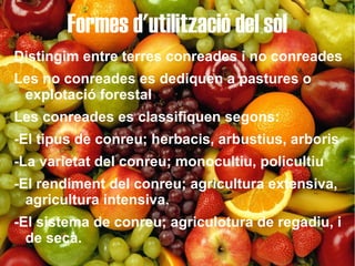 Formes d'utilització del sòl
Distingim entre terres conreades i no conreades
Les no conreades es dediquen a pastures o
 explotació forestal
Les conreades es classifiquen segons:
-El tipus de conreu; herbacis, arbustius, arboris
-La varietat del conreu; monocultiu, policultiu
-El rendiment del conreu; agricultura extensiva,
  agricultura intensiva.
-El sistema de conreu; agriculotura de regadiu, i
  de secà.
 