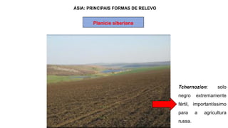 ÁSIA: PRINCIPAIS FORMAS DE RELEVO
Planície siberiana
Tchernozion: solo
negro extremamente
fértil, importantíssimo
para a agricultura
russa.
 