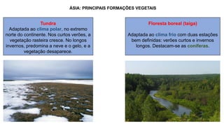 ÁSIA: PRINCIPAIS FORMAÇÕES VEGETAIS
Tundra
Adaptada ao clima polar, no extremo
norte do continente. Nos curtos verões, a
vegetação rasteira cresce. No longos
invernos, predomina a neve e o gelo, e a
vegetação desaparece.
Floresta boreal (taiga)
Adaptada ao clima frio com duas estações
bem definidas: verões curtos e invernos
longos. Destacam-se as coníferas.
 