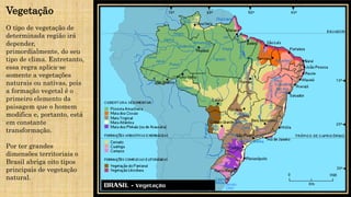 Vegetação
O tipo de vegetação de
determinada região irá
depender,
primordialmente, do seu
tipo de clima. Entretanto,
essa regra aplica-se
somente a vegetações
naturais ou nativas, pois
a formação vegetal é o
primeiro elemento da
paisagem que o homem
modifica e, portanto, está
em constante
transformação.
Por ter grandes
dimensões territoriais o
Brasil abriga oito tipos
principais de vegetação
natural.
 