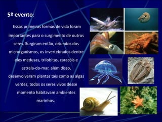 5º evento: 
Essas primeiras formas de vida foram 
importantes para o surgimento de outros 
seres. Surgiram então, oriundos dos 
microrganismos, os invertebrados dentre 
eles medusas, trilobitas, caracóis e 
estrela-do-mar, além disso, 
desenvolveram plantas tais como as algas 
verdes, todos os seres vivos desse 
momento habitavam ambientes 
marinhos. 
 