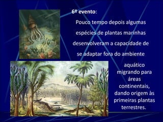 6º evento: 
Pouco tempo depois algumas 
espécies de plantas marinhas 
desenvolveram a capacidade de 
se adaptar fora do ambiente 
aquático 
migrando para 
áreas 
continentais, 
dando origem às 
primeiras plantas 
terrestres. 
 