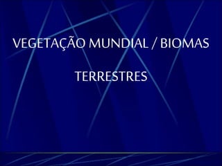 VEGETAÇÃO MUNDIAL / BIOMAS 
TERRESTRES 
 